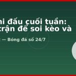 Lịch thi đấu cuối tuần: Chọn trận để soi kèo và livescore