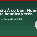 Kèo châu Á cơ bản: Hướng dẫn đọc handicap trên Bongdanet